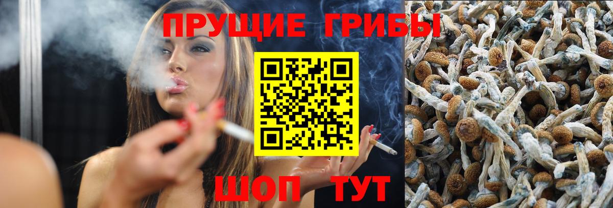 Псилоцибиновые грибы мицелий Красноперекопск
